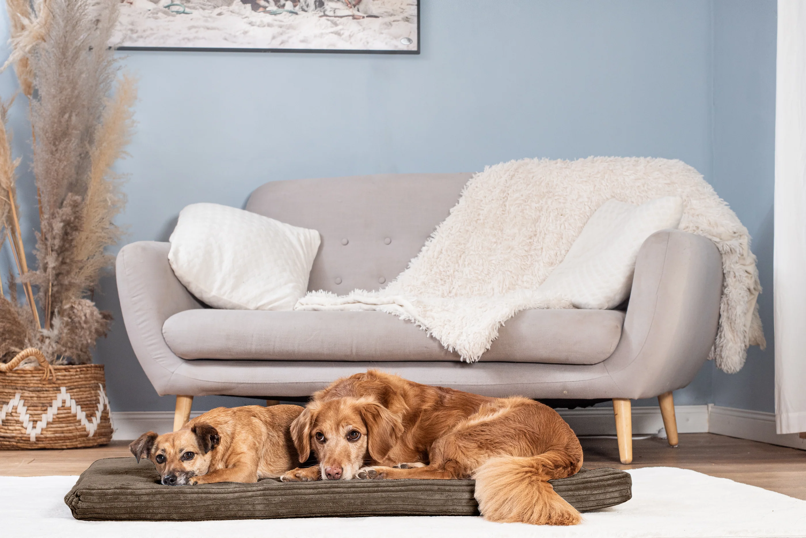 Produktbild 14